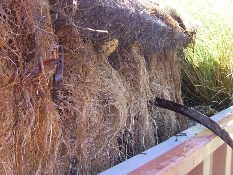 百奧源&reg;浮動(dòng)濕地根系發(fā)達(dá)，密度大大高于人工濕地